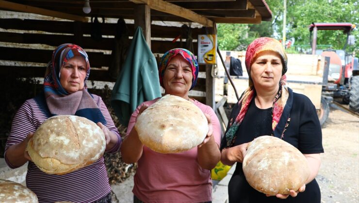 Tekirdağ’da Kadınlar Taş Fırında Pişirdikleri Köy Ekmeğiyle Aile Bütçesine Katkı Sağlıyor