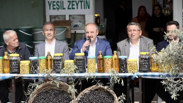 Gemlik Zeytinine Avrupa Birliği Tescili Geliyor