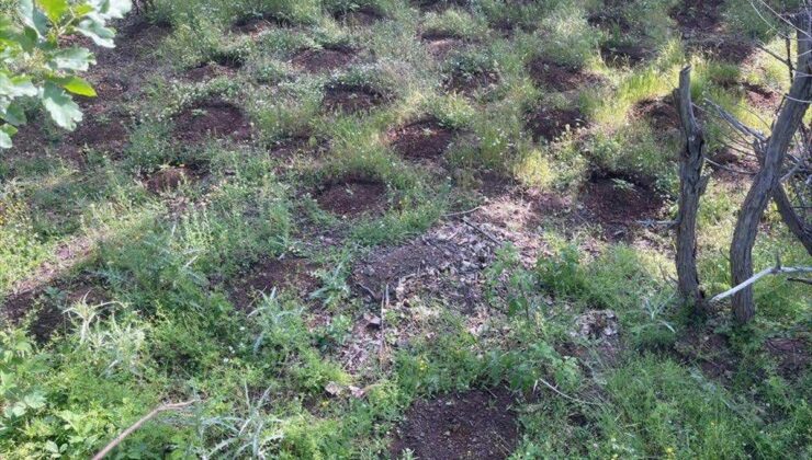Terör Operasyonunda Patlayıcı Ve Silah Bulundu