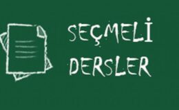 “MEB’in “Zorunlu Seçmeli Ders” Dayatması Yapması Doğru Değildir”