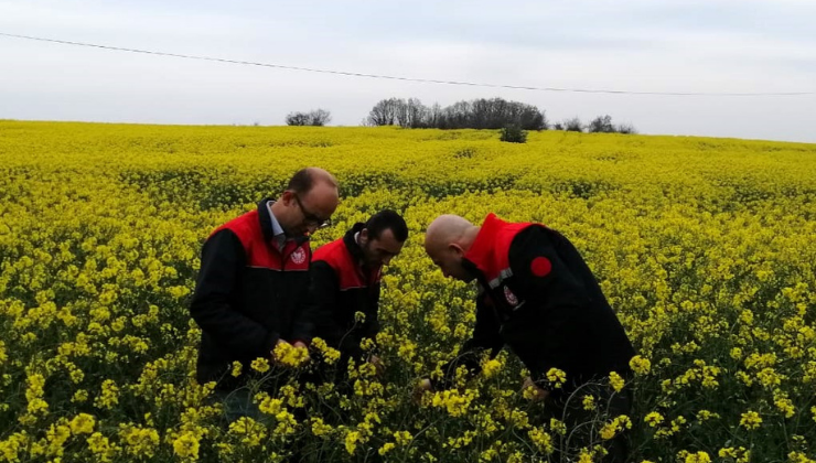 Hasar Tespit Çalışmaları Yapıldı