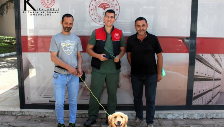 Kayıp Köpek Sahibine Kavuştu!