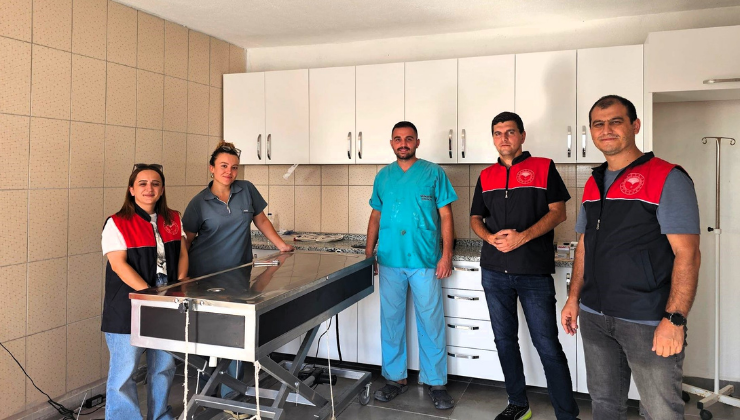 Sahipsiz Hayvan Barınağında İncelemeler Yapıldı