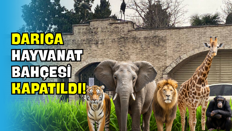 Darıca Hayvanat Bahçesi Kapatıldı!