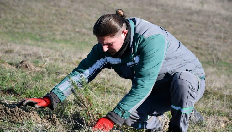Lüleburgaz Belediyesi Fidanlara Bakımını Sürdürüyor!