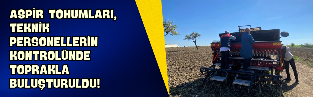 Aspir Tohumları, Teknik Personellerin Kontrolünde Toprakla Buluşturuldu!