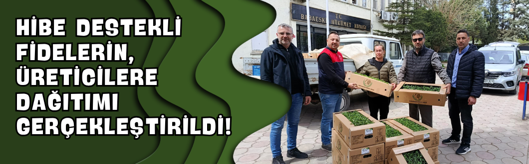 Hibe Destekli Fidelerin, Üreticilere Dağıtımı Gerçekleştirildi!