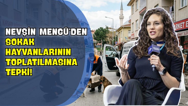 Nevşin Mengü’den Sokak Hayvanlarının Toplatılmasına Tepki!