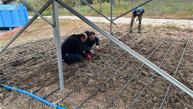Trakya Üniversitesi’nde Agrivoltaik Sistemlere Yönelik Araştırmalar Başladı!