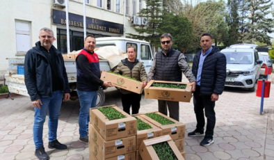 Hibe Destekli Fidelerin, Üreticilere Dağıtımı Gerçekleştirildi!