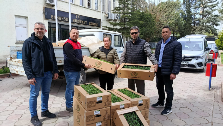 Hibe Destekli Fidelerin, Üreticilere Dağıtımı Gerçekleştirildi!