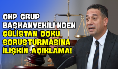 CHP Grup Başkanvekili’nden Gülistan Doku Soruşturmasına İlişkin Açıklama!