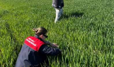 Süne Kıymetlendirme Sürveyi Çalışmaları Yapıldı!