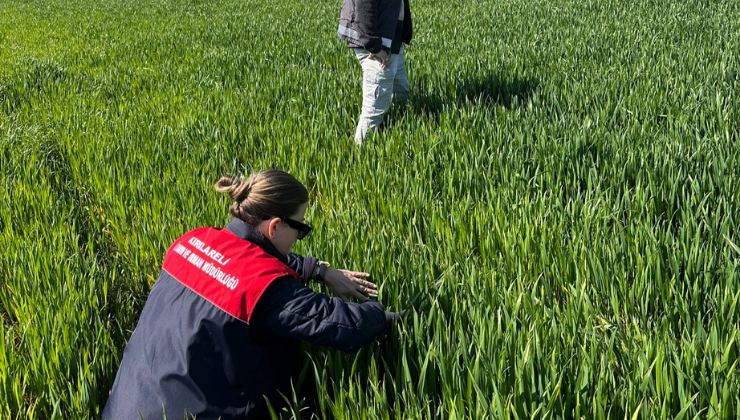 Süne Kıymetlendirme Sürveyi Çalışmaları Yapıldı!