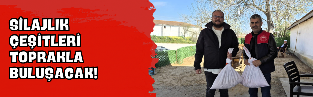 Silajlık Çeşitleri Toprakla Buluşacak!