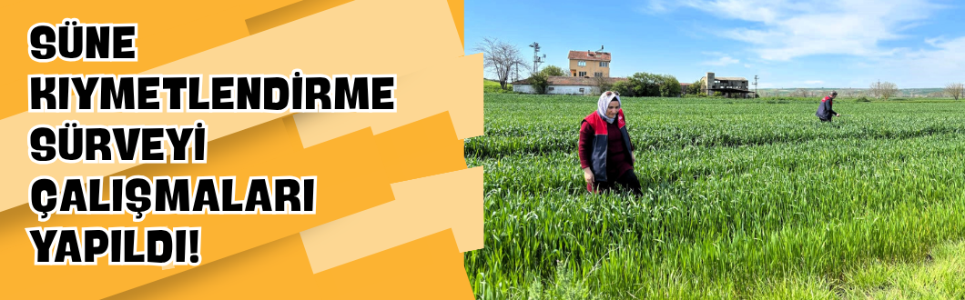 Süne Kıymetlendirme Sürveyi Çalışmaları Yapıldı!