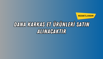 DANA KARKAS ET MAL ALIMI