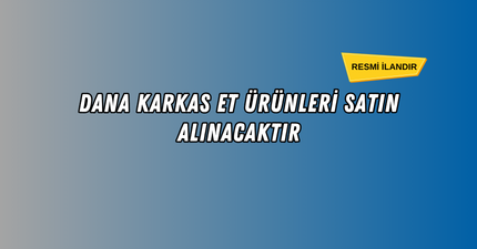 DANA KARKAS ET MAL ALIMI
