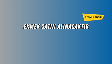MAL ALIMI