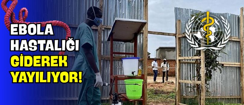 Ebola Hastalığı Giderek Yayılıyor!