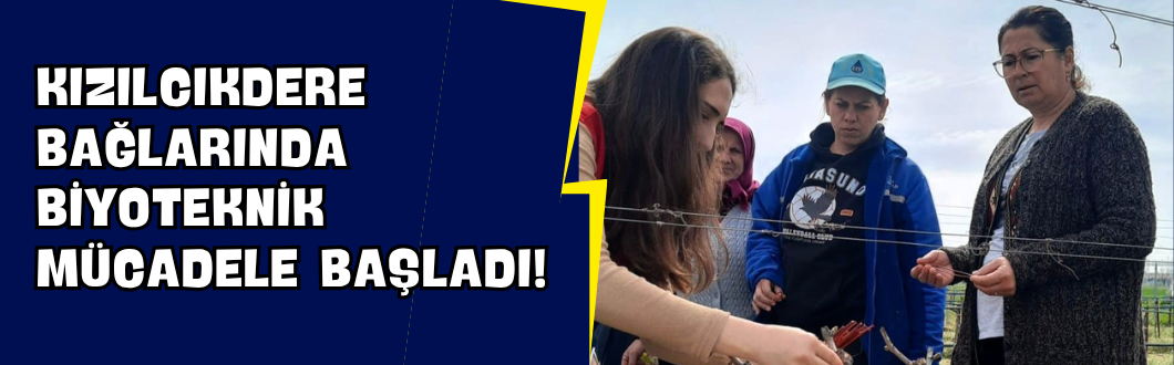 Kızılcıkdere Bağlarında Biyoteknik Mücadele Başladı!