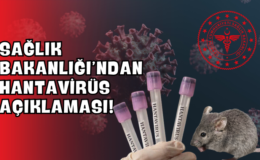 Sağlık Bakanlığı’ndan Hantavirüs Açıklaması!