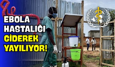 Ebola Hastalığı Giderek Yayılıyor!