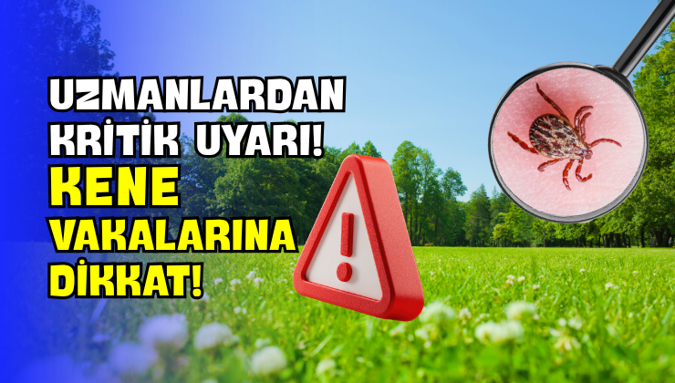 Uzmanlardan Kritik Uyarı! Kene Vakalarına Dikkat!