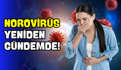 Norovirüs Yeniden Gündemde!