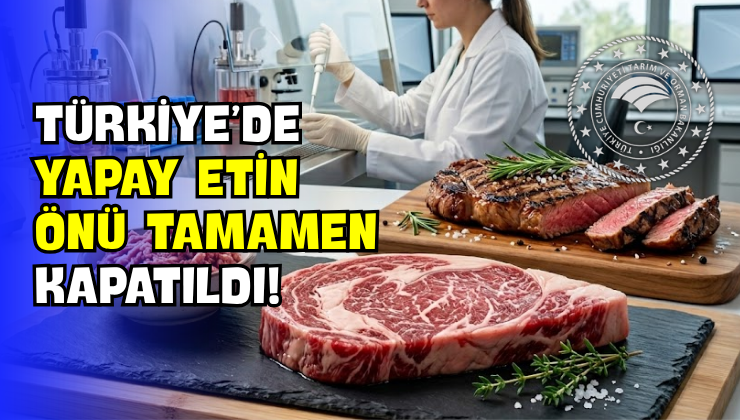 Türkiye’de Yapay Etin Önü Tamamen Kapatıldı!