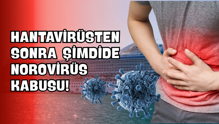 Hantavirüsten Sonra Şimdide Norovirüs Kabusu!