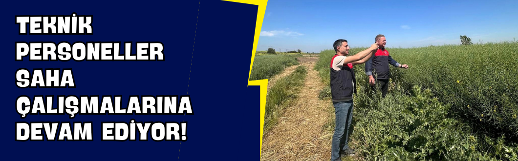 Teknik Personeller Saha Çalışmalarına Devam Ediyor!