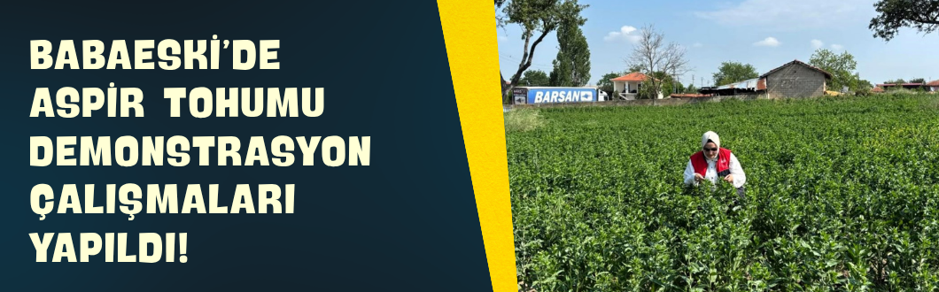 Babaeski’de Aspir Tohumu Demonstrasyon Çalışmaları Yapıldı!
