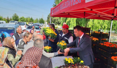 Seralarda Büyük Emekle Yetiştirilen Çiçekler Vatandaşlara Takdim Edildi!