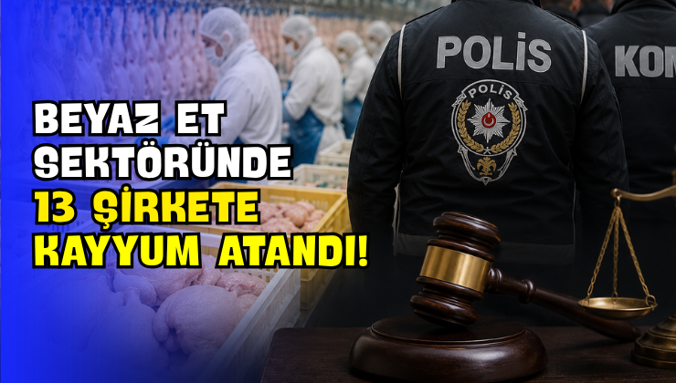 Beyaz Et Sektöründe 13 Şirkete Kayyum Atandı!