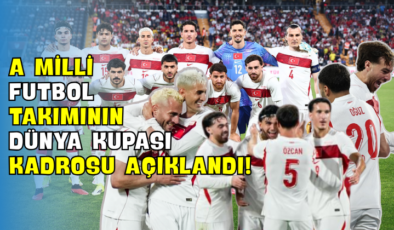 A Milli Futbol Takımının Dünya Kupası Kadrosu Açıklandı!