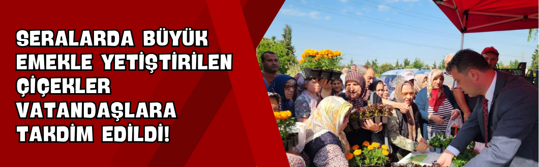 Seralarda Büyük Emekle Yetiştirilen Çiçekler Vatandaşlara Takdim Edildi!