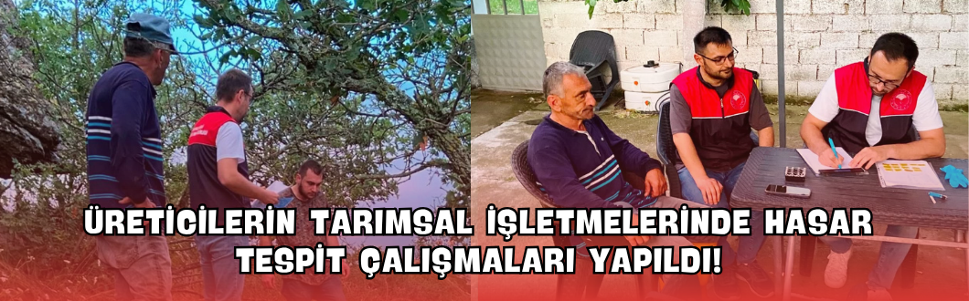 Üreticilerin Tarımsal İşletmelerinde Hasar Tespit Çalışmaları Yapıldı!