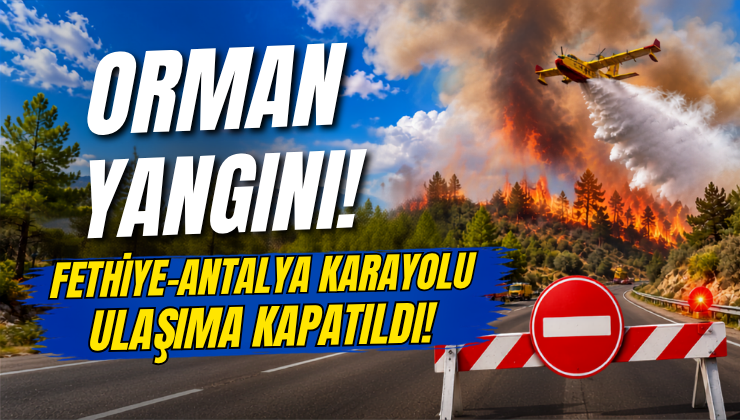 Orman Yangını! Fethiye-Antalya Karayolu Ulaşıma Kapatıldı!