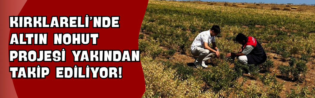 Kırklareli’nde Altın Nohut Projesi Yakından Takip Ediliyor!