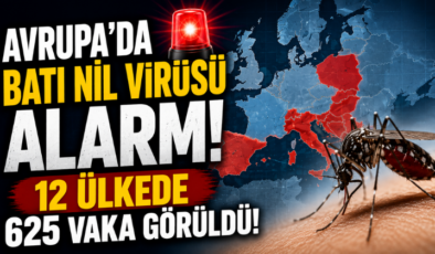 Avrupa’da Batı Nil virüsü alarmı! 12 Ülkede 625 Vaka Görüldü!