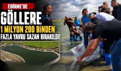 Edirne’de Göllere 1 Milyon 200 Binden Fazla Yavru Sazan Bırakıldı!