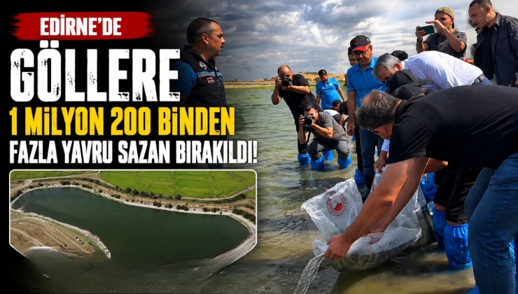 Edirne’de Göllere 1 Milyon 200 Binden Fazla Yavru Sazan Bırakıldı!