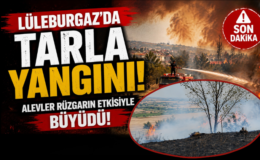 LÜLEBURGAZ’DA TARLA YANGINI! ALEVLER RÜZGARIN ETKİSİYLE BÜYÜDÜ!