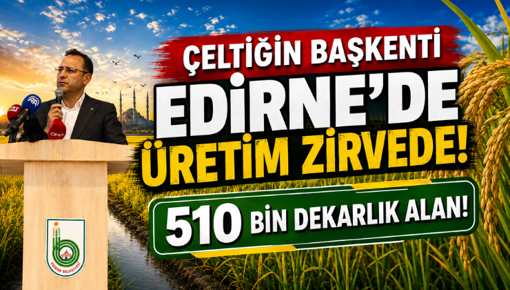 Çeltiğin Başkenti Edirne’de Üretim Zirvede! 510 Bin Dekarlık Alan!