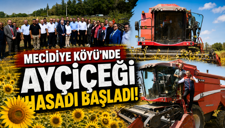 Mecidiye Köyü’nde Ayçiçeği Hasadı Başladı!