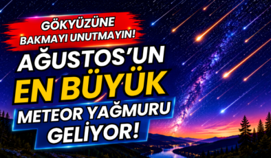 Gökyüzüne Bakmayı Unutmayın! Ağustos’un En Büyük Meteor Yağmuru Geliyor!