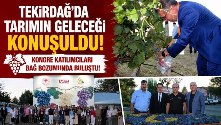 Tekirdağ’da Tarımın Geleceği Konuşuldu! Kongre Katılımcıları Bağ Bozumunda Buluştu!