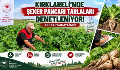 Kırklareli’nde Şeker Pancarı Tarlaları Denetleniyor! Ekipler Sahaya İndi!