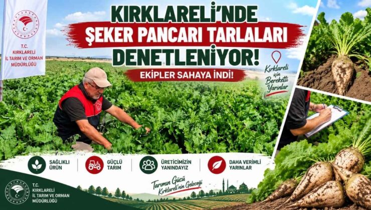 Kırklareli’nde Şeker Pancarı Tarlaları Denetleniyor! Ekipler Sahaya İndi!